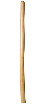 Natural Finish Didgeridoo (TW736)